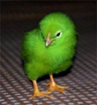 pic for Green chicken